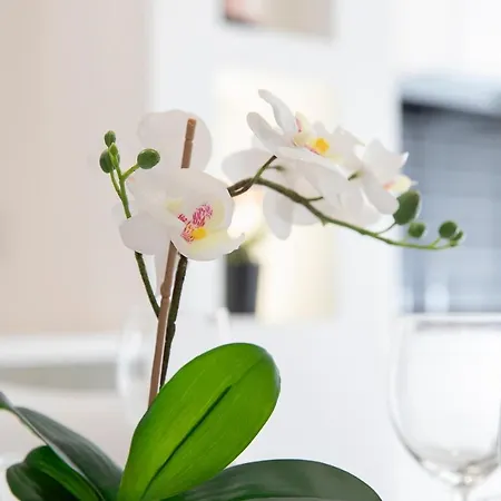 Apartment Elegant Statuario